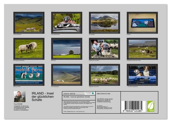 Produktbild: IRLAND - Insel der gl&uuml;cklichen Schafe (Wandkalender 2026 DIN A4 quer), CALVENDO Monatskalender