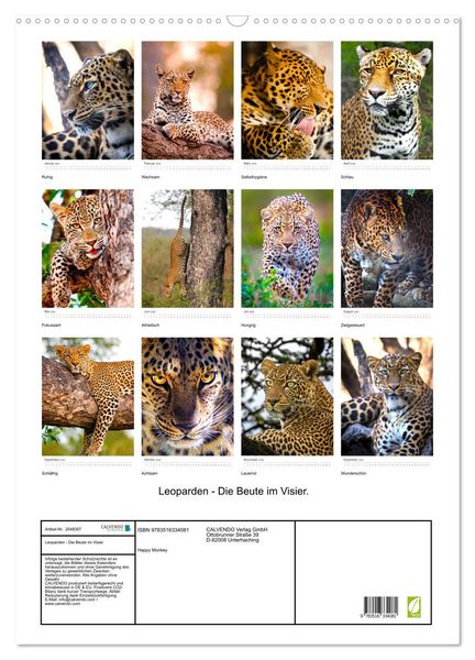Produktbild: Leoparden - Die Beute im Visier. (Wandkalender 2026 DIN A2 hoch), CALVENDO Monatskalender