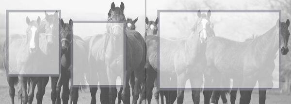 Produktbild: Mein Reiter-Tagebuch - F&uuml;r alle Erlebnisse und Erinnerungen aus dem Reitstall