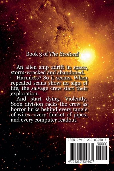 Produktbild: The Outcasts