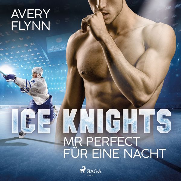 Produktbild: Ice Knights - Mr Perfect für eine Nacht