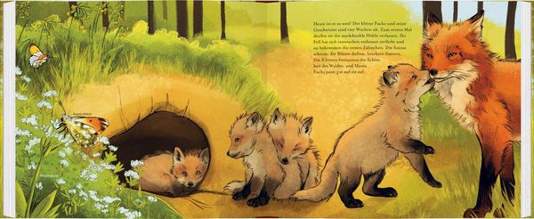 Produktbild: Kleiner Fuchs, bald bist du gro&szlig;!