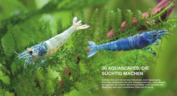 Produktbild: Aquascaping