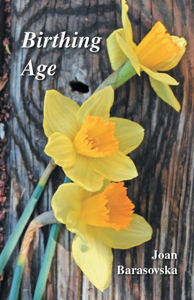 Produktbild: Birthing Age