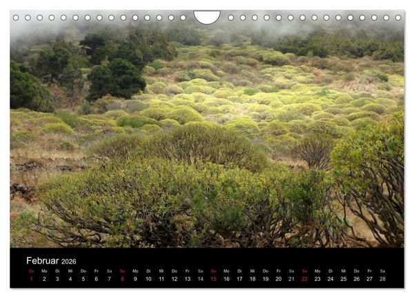 Produktbild: Insel El Hierro - Perle der Kanaren (Wandkalender 2026 DIN A4 quer), CALVENDO Monatskalender