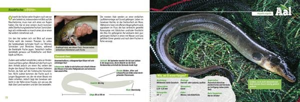 Produktbild: Angler-Lexikon der S&uuml;&szlig;wasserfische