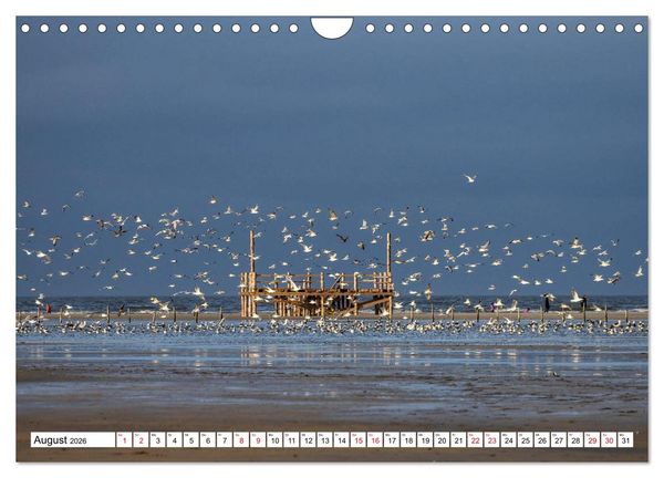 Produktbild: Impressionen aus Sankt Peter-Ording (Wandkalender 2026 DIN A4 quer), CALVENDO Monatskalender