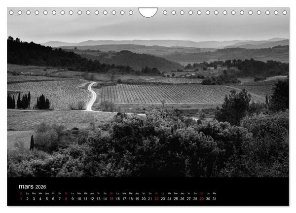 Produktbild: VIGNES DU SUD terroirs d'AOC (Calendrier mural 2026 DIN A4 vertical), CALVENDO calendrier mensuel
