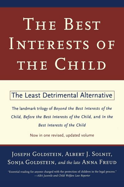 Produktbild: The Best Interests of the Child