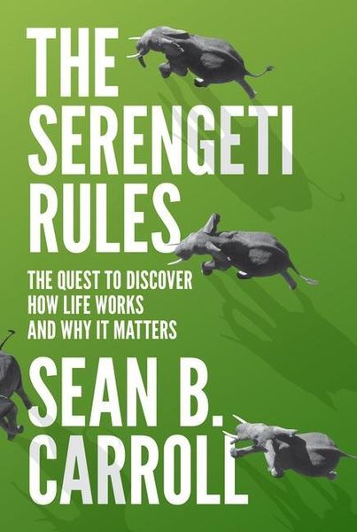 Produktbild: Serengeti Rules