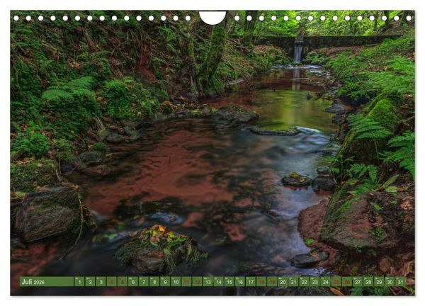 Produktbild: Augenschmaus Pf&auml;lzer Wald (Wandkalender 2026 DIN A4 quer), CALVENDO Monatskalender