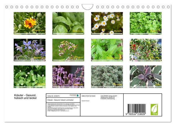 Produktbild: Kr&auml;uter - Gesund, h&uuml;bsch und lecker (Wandkalender 2026 DIN A4 quer), CALVENDO Monatskalender