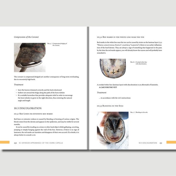 Produktbild: Hoofwork