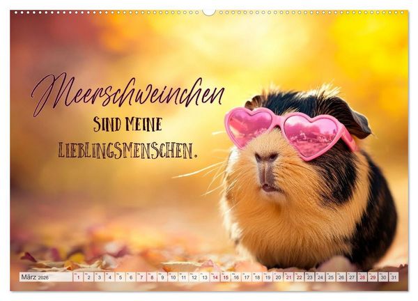 Produktbild: Meerschweinchen LUSTIG DURCHS JAHR (hochwertiger Premium Wandkalender 2026 DIN A2 quer), Kunstdruck in Hochglanz