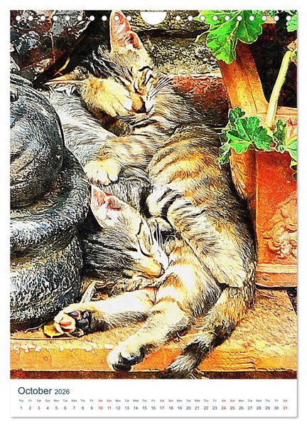 Produktbild: Umbrian Cats (Wall Calendar 2026 DIN A4 portrait), CALVENDO 12 Month Wall Calendar