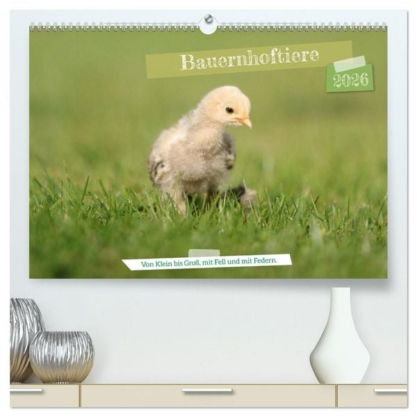 Produktbild: Bauernhoftiere - Von Klein bis Gro&szlig;, mit Fell und mit Federn. (hochwertiger Premium Wandkalender 2026 DIN A2 quer), Kunstdruck in Hochglanz
