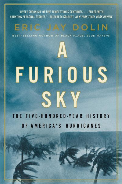 Produktbild: A Furious Sky