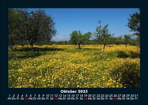 Produktbild: Natur 2025 Fotokalender DIN A5