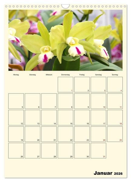 Produktbild: Orchideentr&auml;ume (Wandkalender 2026 DIN A3 hoch), CALVENDO Monatskalender