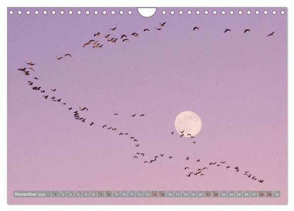 Produktbild: Vollmond - Momente der Ruhe (Wandkalender 2026 DIN A4 quer), CALVENDO Monatskalender
