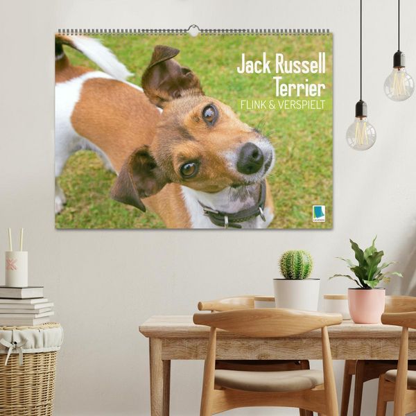 Produktbild: Jack Russell Terrier: flink und verspielt (Wandkalender 2026 DIN A2 quer), CALVENDO Monatskalender