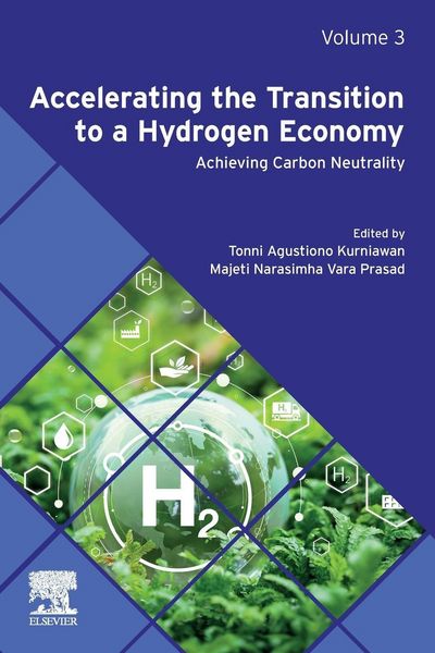 Produktbild: Accelerating the Transition to a Hydrogen Economy