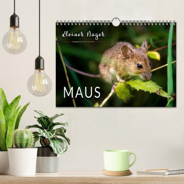 Produktbild: Kleiner Nager - Maus (Wandkalender 2026 DIN A4 quer), CALVENDO Monatskalender