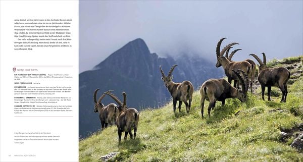Produktbild: Magische Alpent&auml;ler