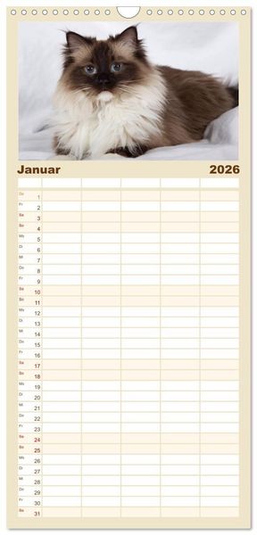 Produktbild: Familienplaner 2026 - Ragdolls mit 5 Spalten (Wandkalender, 21 x 45 cm) CALVENDO