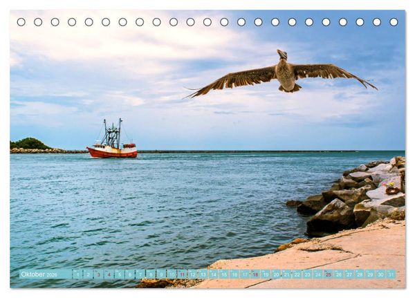 Produktbild: Florida - Sonnige Str&auml;nde und magische S&uuml;mpfe (Tischkalender 2026 DIN A5 quer), CALVENDO Monatskalender