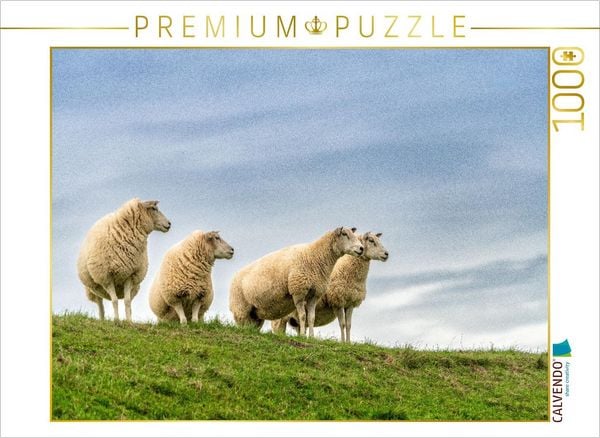 Produktbild: CALVENDO Puzzle Ein Motiv aus dem Kalender Naturerlebnis R&oslash;m&oslash; | 1000 Teile Lege-Gr&ouml;&szlig;e 64x48cm Foto-Puzzle f&uuml;r gl&uuml;ckliche Stunden