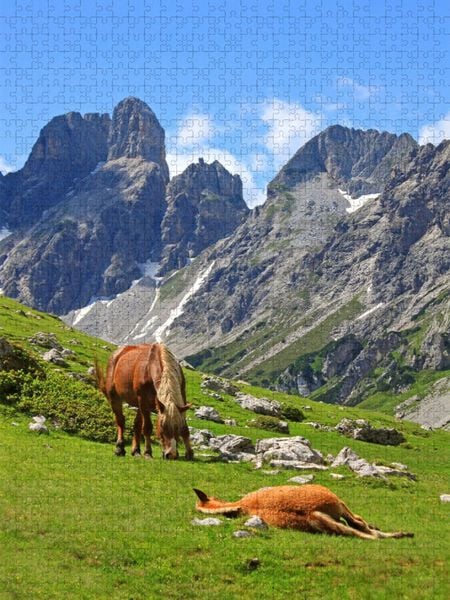 Produktbild: CALVENDO Puzzle Haflinger im oberen Rinderfeld | 1000 Teile Lege-Gr&ouml;&szlig;e 64x48cm Foto-Puzzle f&uuml;r gl&uuml;ckliche Stunden