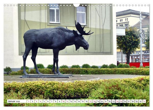 Produktbild: Ostpreu&szlig;ens Elche (Wandkalender 2026 DIN A3 quer), CALVENDO Monatskalender