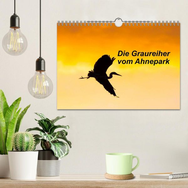Produktbild: Die Graureiher vom Ahnepark (Wandkalender 2026 DIN A4 quer), CALVENDO Monatskalender