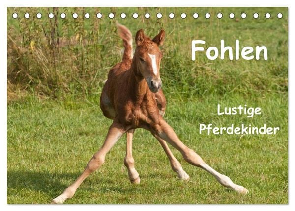Produktbild: Fohlen - Lustige Pferdekinder (Tischkalender 2026 DIN A5 quer), CALVENDO Monatskalender