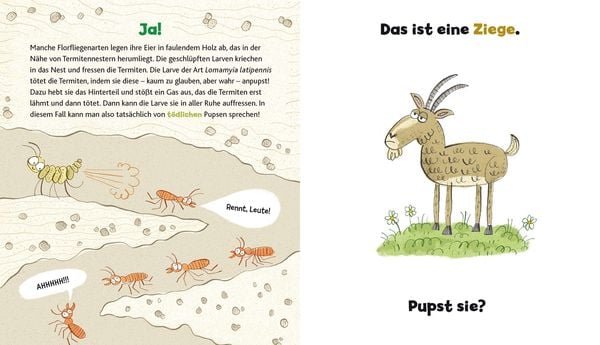 Produktbild: Wer hat hier gepupst?