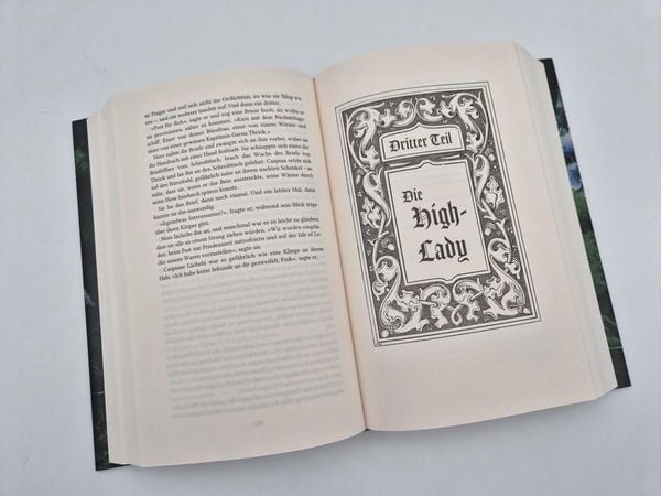 Produktbild: The Thief and the Traitor Bride