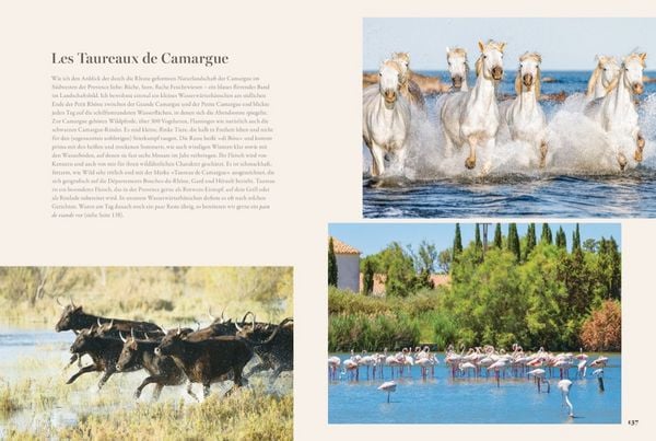 Produktbild: Provence