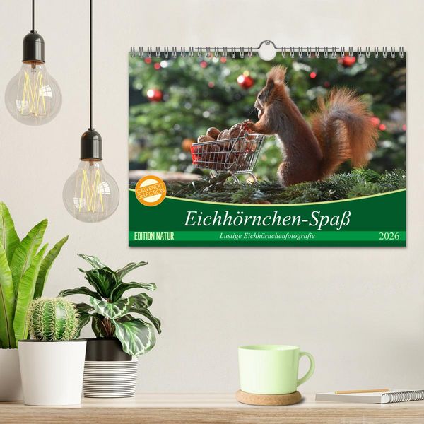 Produktbild: Eichh&ouml;rnchen-Spa&szlig; (Wandkalender 2026 DIN A4 quer), CALVENDO Monatskalender