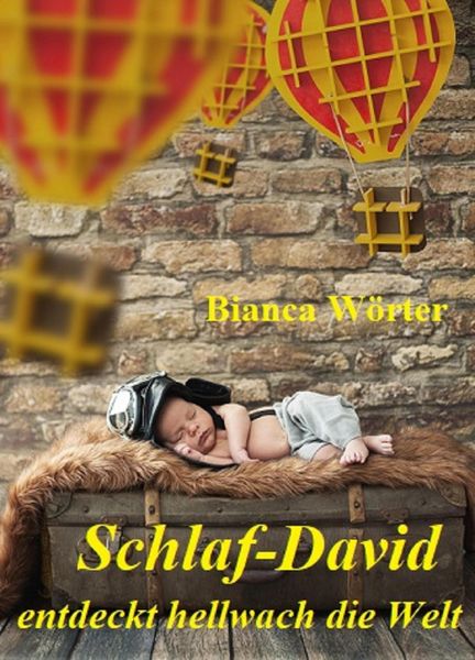 Produktbild: Schlaf-David entdeckt hellwach die Welt