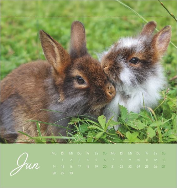Produktbild: S&uuml;&szlig;e Kaninchen 2027