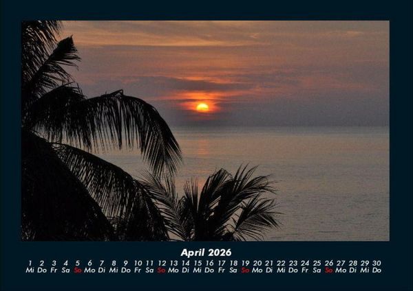 Produktbild: Palmentraum 2026 Fotokalender DIN A4