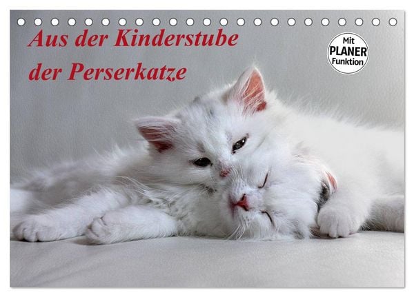 Produktbild: Aus der Kinderstube der Perserkatze (Tischkalender 2026 DIN A5 quer), CALVENDO Monatskalender