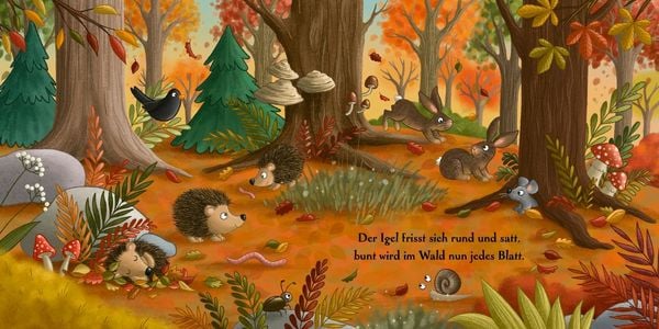 Produktbild: Es wird Herbst hier im Wald