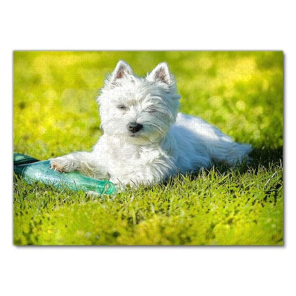 Produktbild: Lais Puzzle West Highland White Terrier 1000 Teile