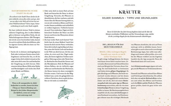 Produktbild: Zaubernuss und Waldmagie &ndash; Naturmomente f&uuml;r deine Seele