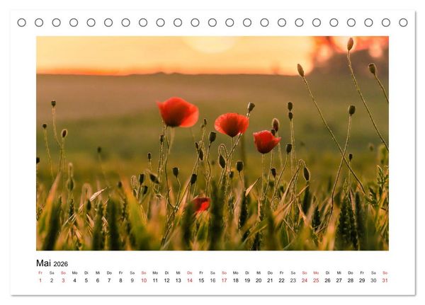 Produktbild: Eindr&uuml;cke aus der Natur (Tischkalender 2026 DIN A5 quer), CALVENDO Monatskalender