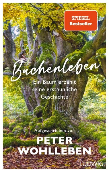 Produktbild: Buchenleben