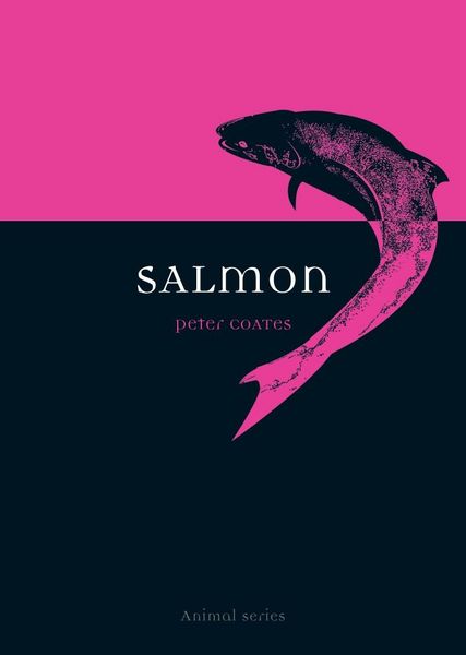 Produktbild: Salmon
