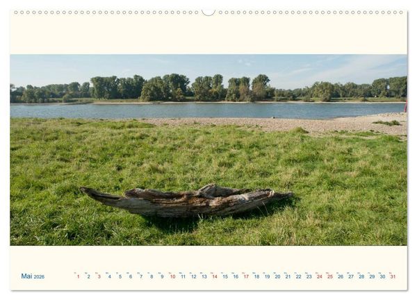 Produktbild: Am Rhein - Urdenbacher K&auml;mpe (Wandkalender 2026 DIN A2 quer), CALVENDO Monatskalender